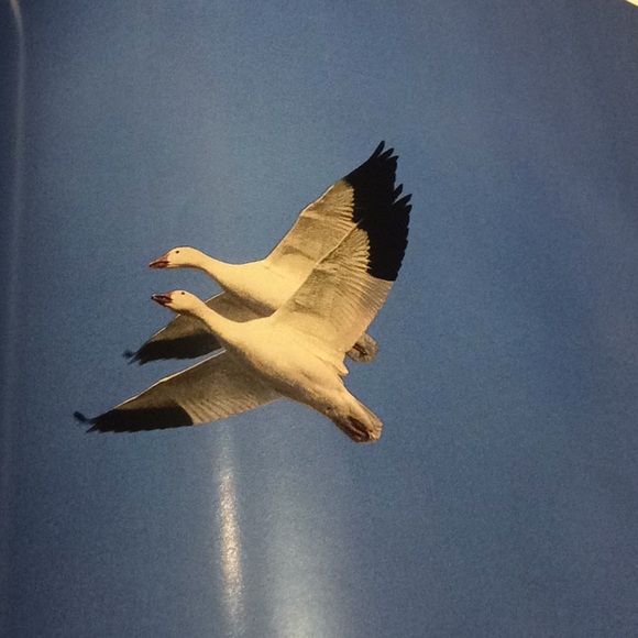 National Geographic Magazine - Picture 8 of 8